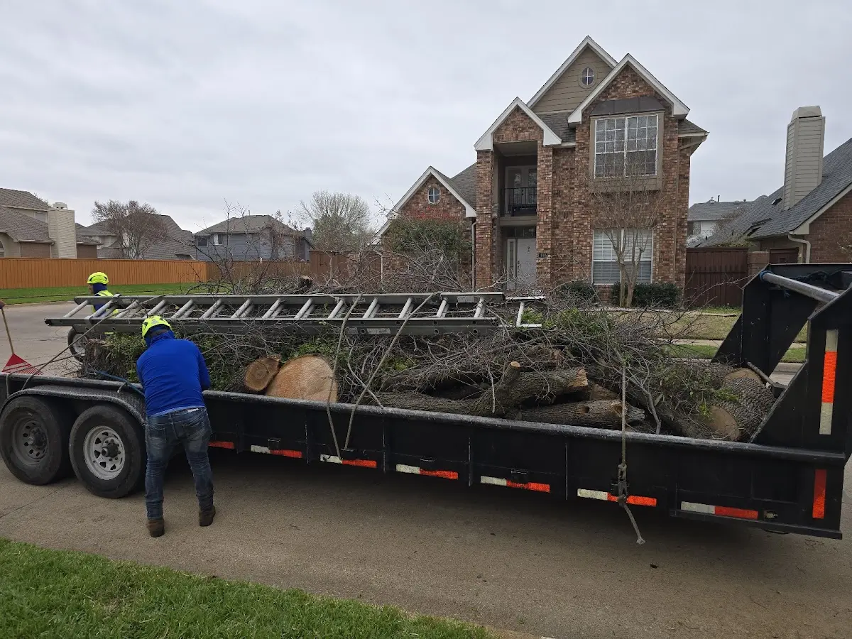 Expert Tree Removal with proper safety equipment in Monmouth